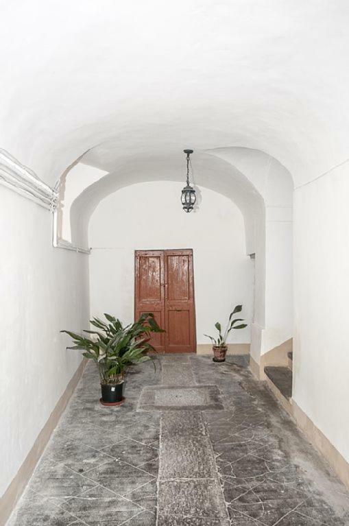 Casa Maria E Casa Cristina Apartment Orvieto Bagian luar foto