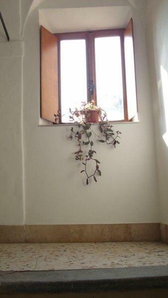 Casa Maria E Casa Cristina Apartment Orvieto Bagian luar foto